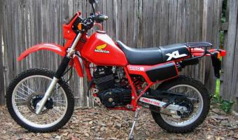 1984 Honda XL350R