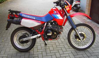 1986 Honda XL600LM