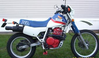 1987 Honda XL600LM