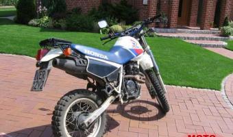 1986 Honda XL600R (reduced effect) #1