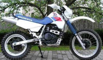 1987 Honda XL600RM (reduced effect)