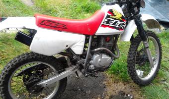 1999 Honda XLR125