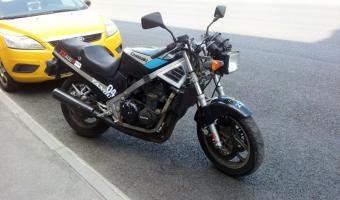 1989 Kawasaki FX400R #1