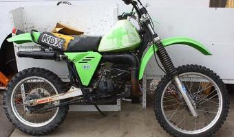 Kawasaki KDX175