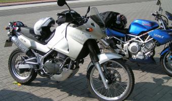 2000 Kawasaki KLE500 #1