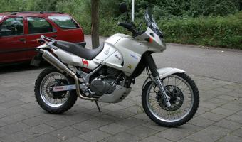 2001 Kawasaki KLE500