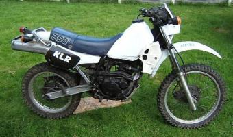 1984 Kawasaki KLR250 #1