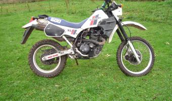 1984 Kawasaki KLR600 #1