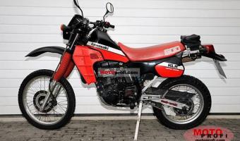 Kawasaki KLR600E (reduced effect)