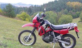 2004 Kawasaki KLR650 #1