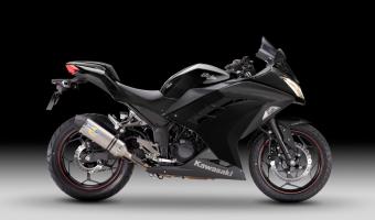 2013 Kawasaki Ninja 300 Performance #1