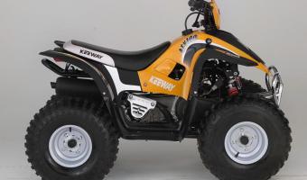 2009 Keeway ATV 100 #1