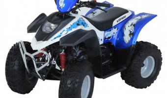 Keeway ATV 100