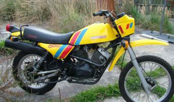 1982 Moto Morini 500 T #1