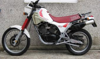 1985 Moto Morini 501 Camel