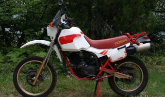 1987 Moto Morini 501 K 2 AMEX #1