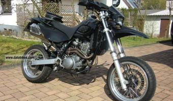 2001 MZ Baghira Black Panther