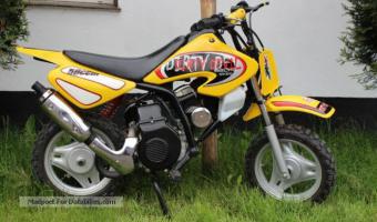 2006 Sachs Dirty Devil 50