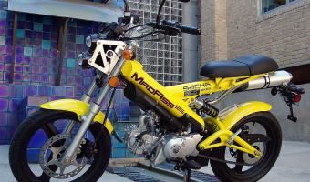 2011 Sachs MadAss 125 #1