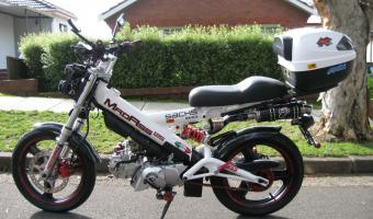 2011 Sachs MadAss 50 #1