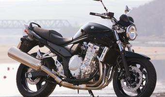 2010 Suzuki Bandit GSF650 #1