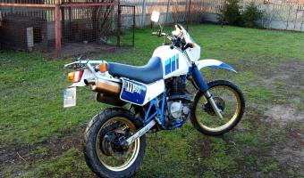 1989 Suzuki DR 600 S