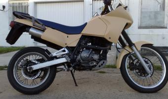 Suzuki DR 650 RSE