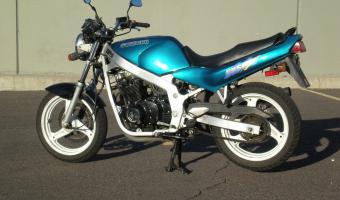 1995 Suzuki GS 500 E #1