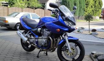 2002 Suzuki GSF 600 S Bandit