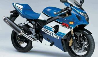 Suzuki GSX-R 600 20th Anniversary