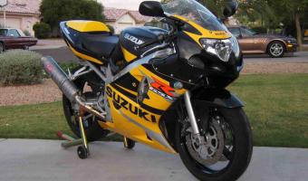 2002 Suzuki GSX-R 600 #1