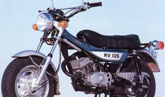 1980 Suzuki RV 125 #1