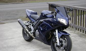 2008 Suzuki SV 650 SF #1