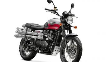 2014 Triumph Scrambler #1