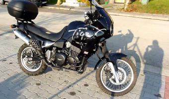 1995 Triumph Tiger 900 #1