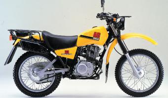 Yamaha AG 200 E