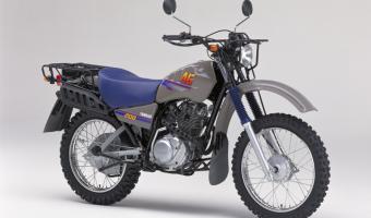 Yamaha AG 200