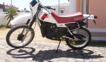 1982 Yamaha DT 125 LC #1