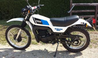 1982 Yamaha DT 250 MX #1