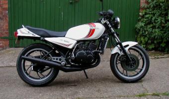 1981 Yamaha RD 250 (reduced effect) #1