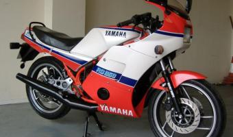 1985 Yamaha RD 350 F (reduced effect)