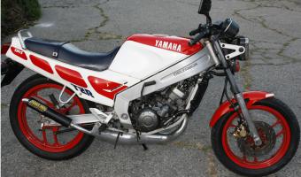 1986 Yamaha RD 350 F (reduced effect) #1