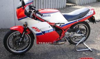 1987 Yamaha RD 350 F (reduced effect) #1