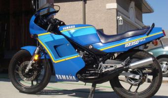 1989 Yamaha RD 350 N (reduced effect)