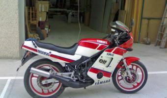 1988 Yamaha RD 350 #1