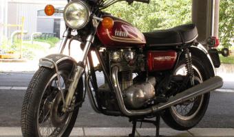 1981 Yamaha SR 500 G (cast wheels)