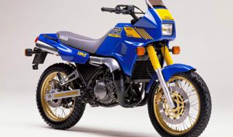 1988 Yamaha TDR 250