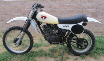 1980 Yamaha TT 250 #1