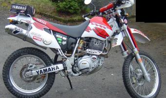 1999 Yamaha TT 600 R