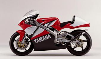 2002 Yamaha TZ 250 #1